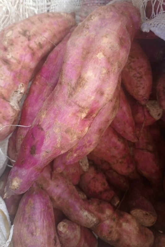 Sweet Potatoes from Kenya